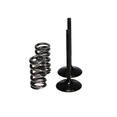 ProX 10-13 YZ450F Steel Intake Valve/Spring Kit